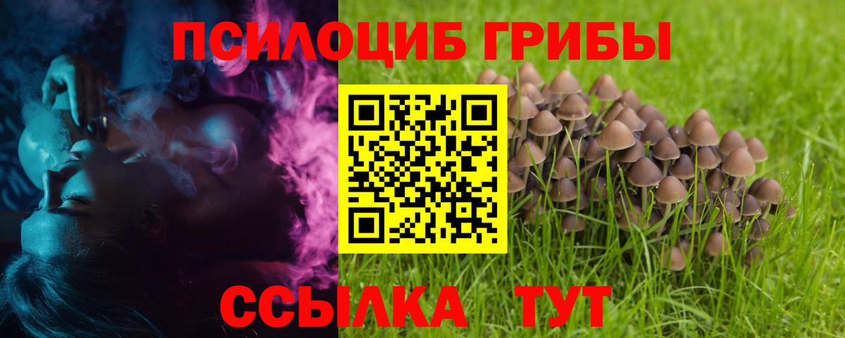 Сосновый Бор  Псилоцибиновые грибы GOLDEN TEACHER  Вход с VPN 